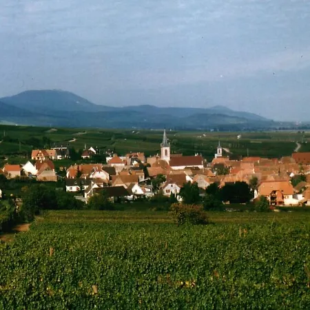 Dom wakacyjny L'erable Beblenheim